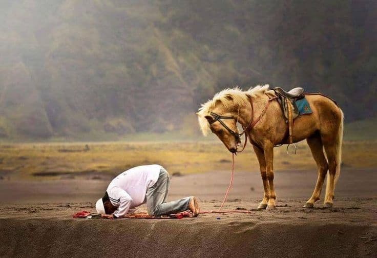 聆听《感赞安拉》，在感恩中抵御迷失！